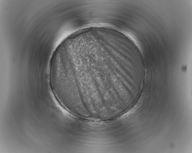 X0000089971046200707271917