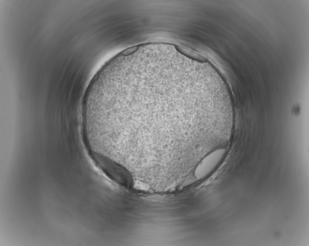 X0000089971048200707271917