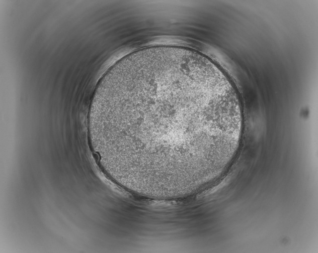 X0000089971049200707271917