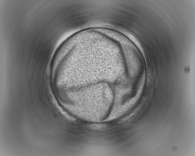 X0000089971053200707271917