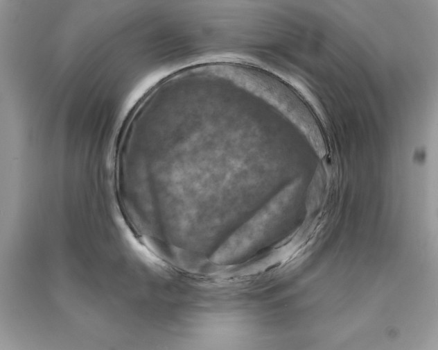 X0000089971054200707271917