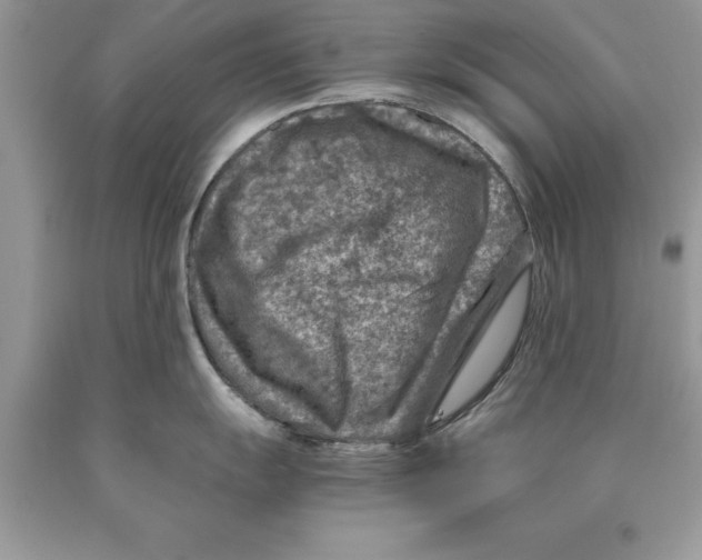 X0000089971055200707271917