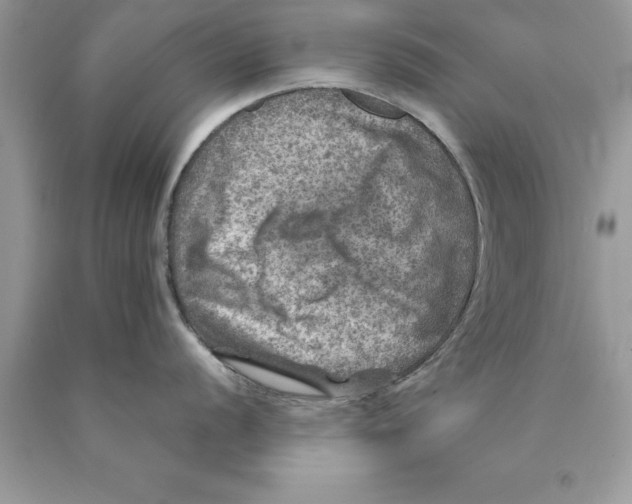 X0000089971056200707271917