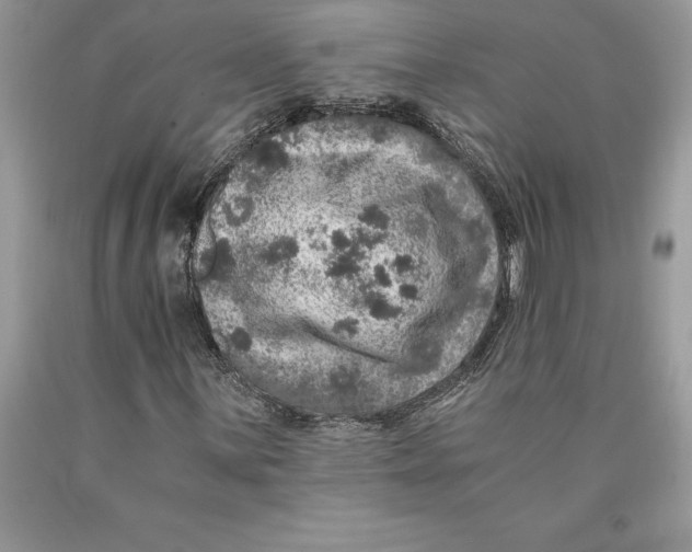 X0000089971059200707271917