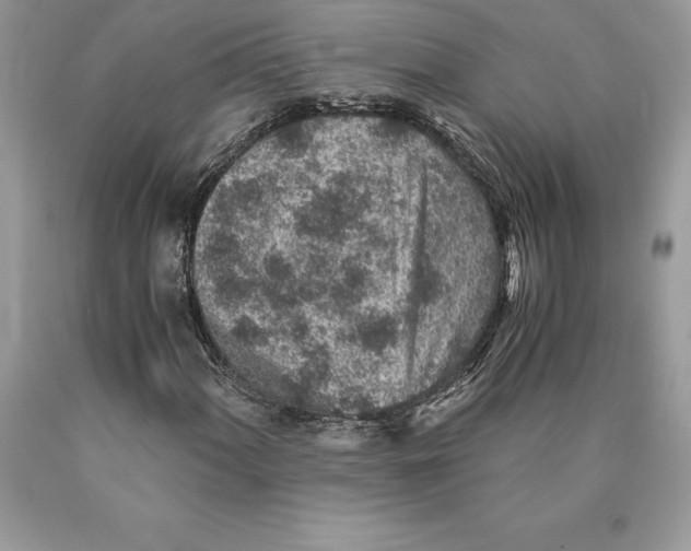 X0000089971060200707271917