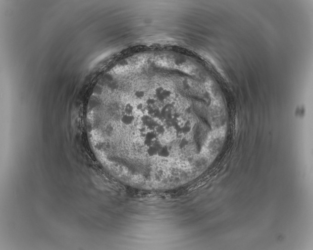 X0000089971063200707271916