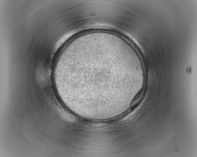 X0000089971066200707271916