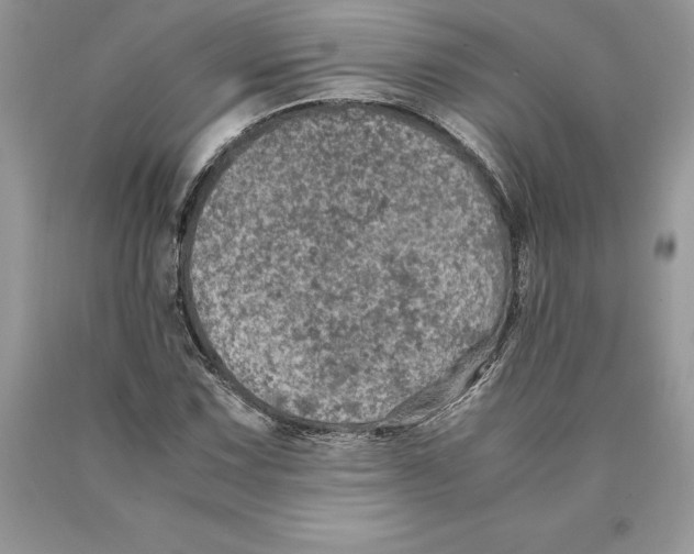 X0000089971067200707271916