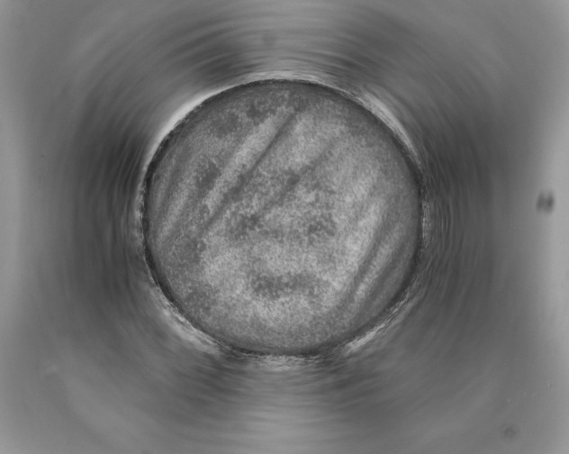 X0000089971068200707271916