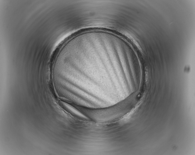 X0000089971069200707271916