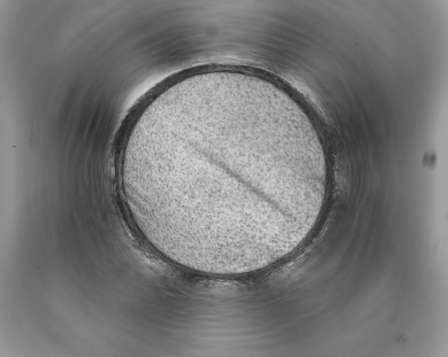 X0000089971070200707271916