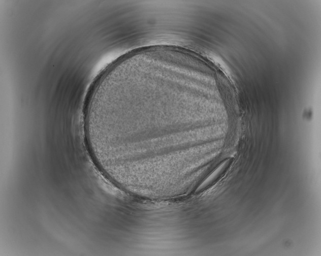 X0000089971072200707271916