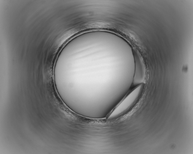 X0000089971073200707271916