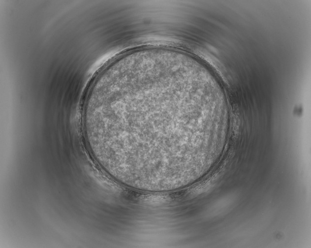 X0000089971074200707271916