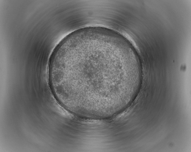 X0000089971076200707271916