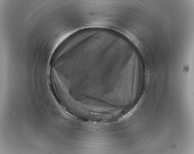 X0000089971077200707271916