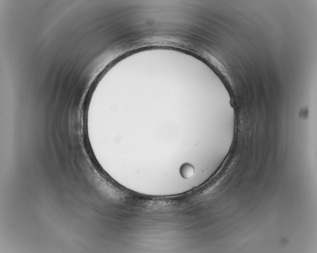 X0000089971082200707271916