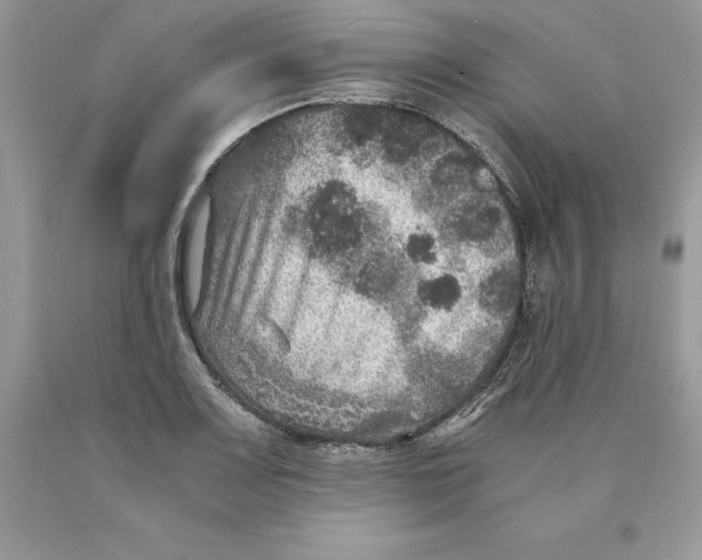 X0000089971083200707271916