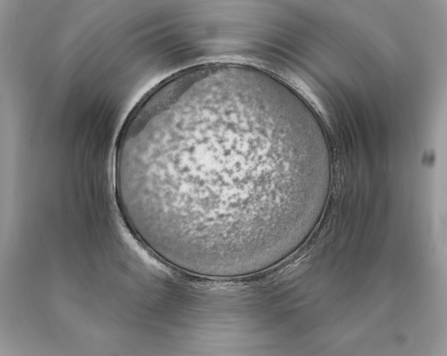 X0000089971084200707271916