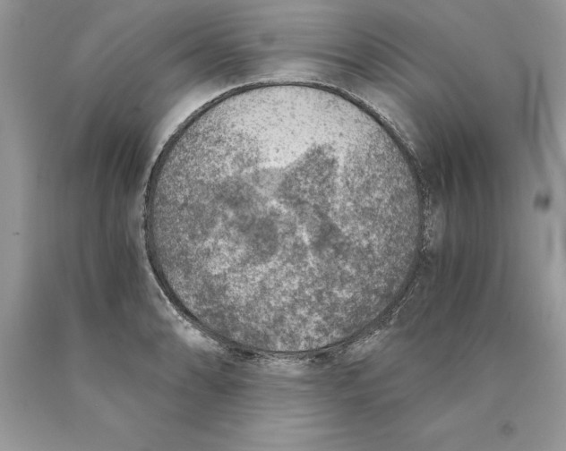 X0000089971086200707271916