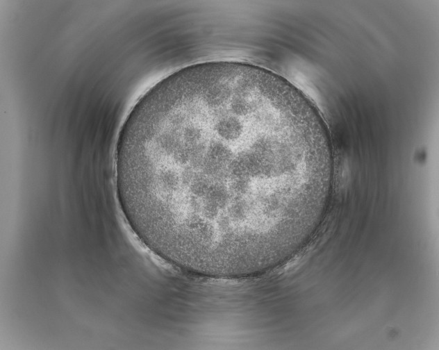 X0000089971088200707271916