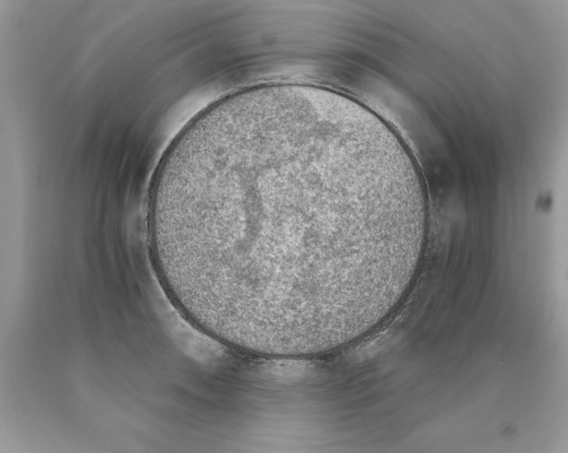 X0000089971090200707271916