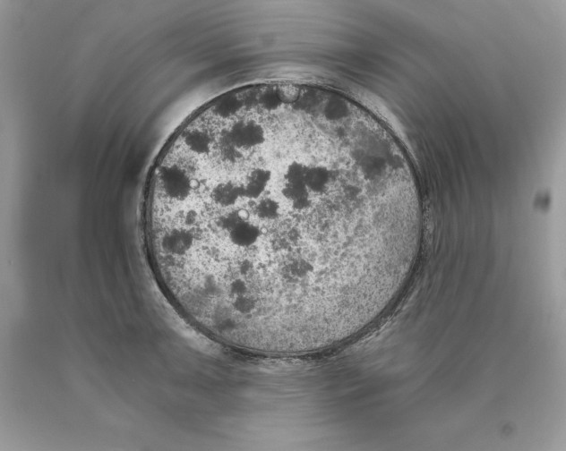 X0000089971091200707271916