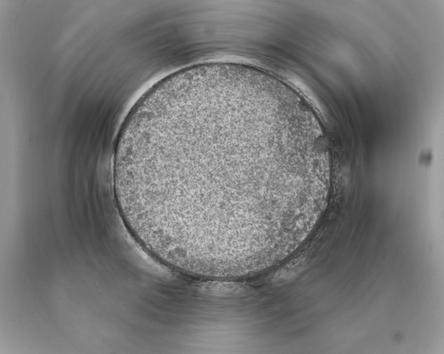 X0000089971092200707271916