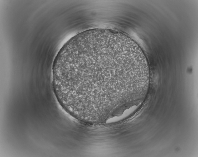 X0000089971095200707271916