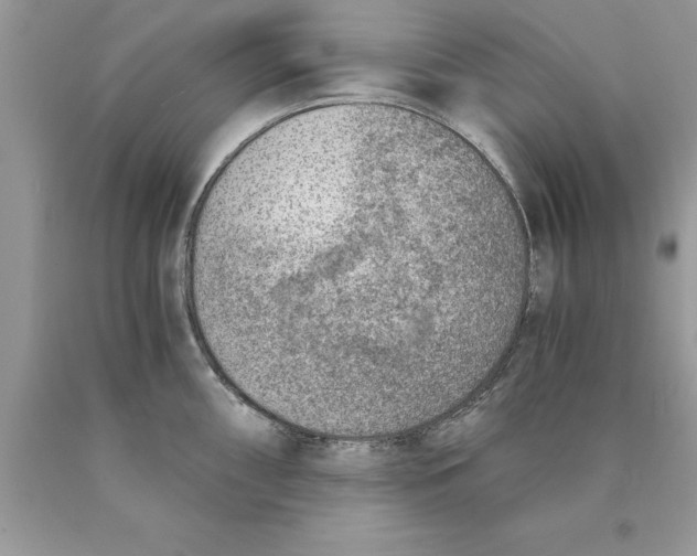 X0000089971098200707271916