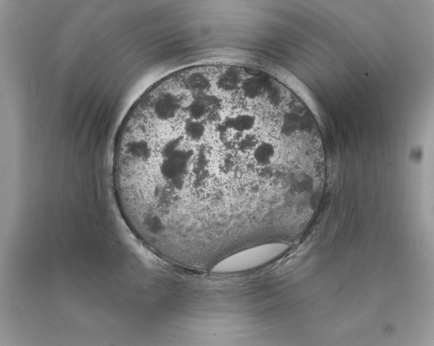 X0000089971099200707271916