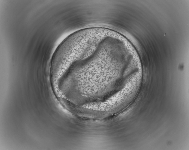 X0000089971102200707271916