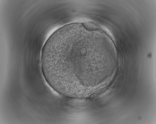 X0000089971103200707271916