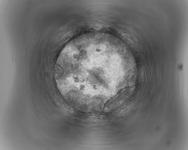 X0000089971105200707271915