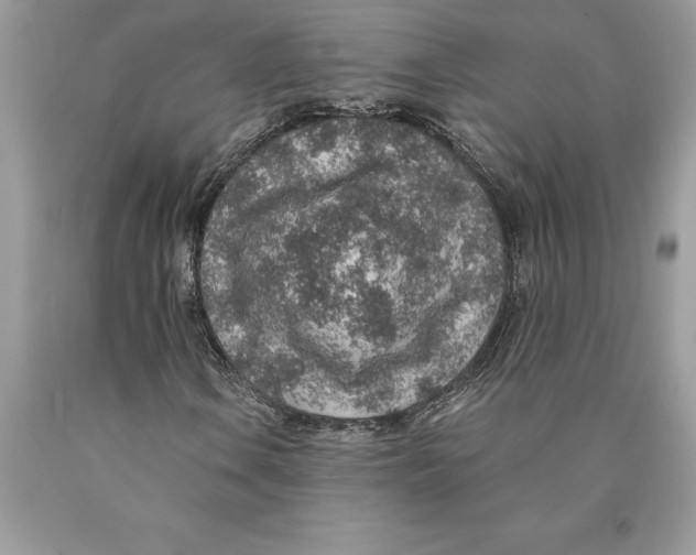 X0000089971106200707271915