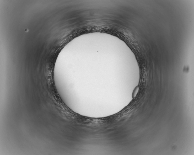 X0000089971109200707271915