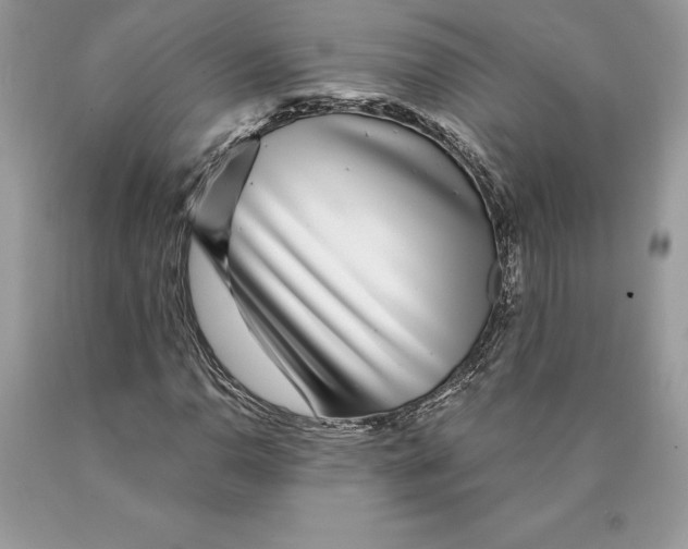 X0000089971110200707271915