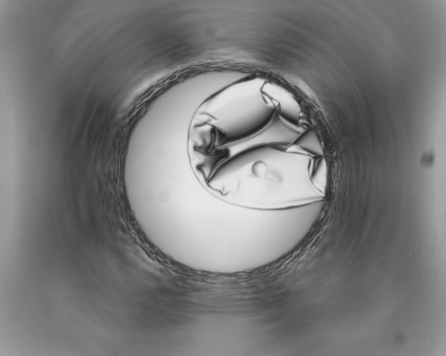 X0000089971112200707271915