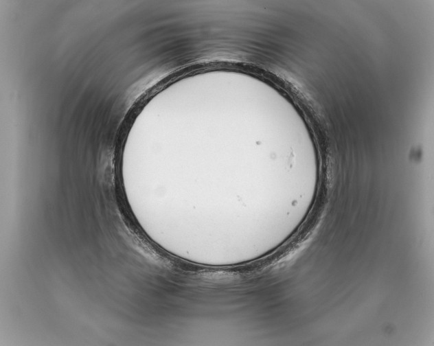 X0000089971113200707271915