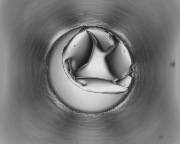 X0000089971114200707271915