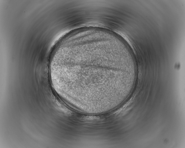 X0000089971115200707271916