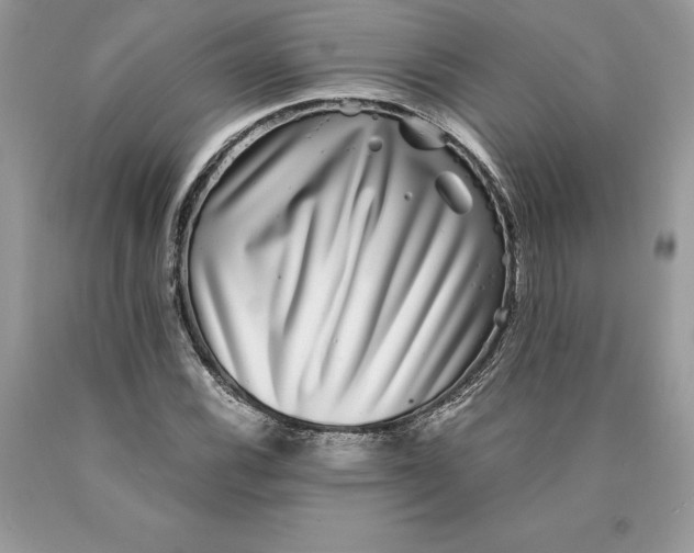 X0000089971116200707271916