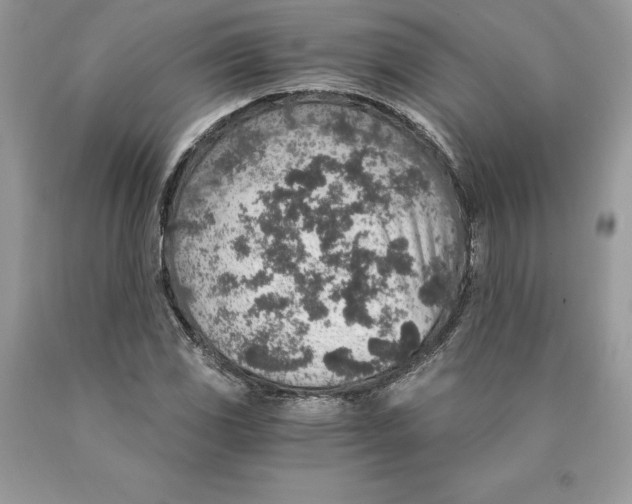 X0000089971117200707271916