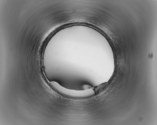 X0000089971118200707271916