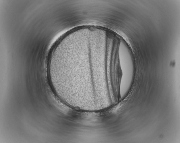 X0000089971120200707271916