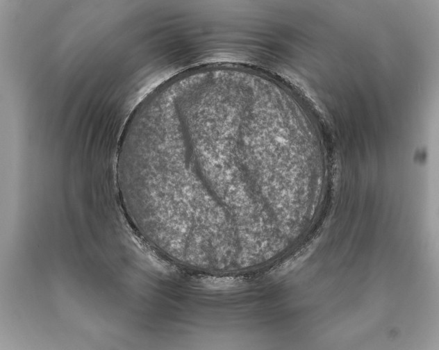 X0000089971121200707271916