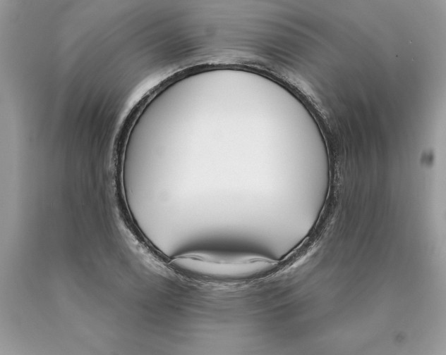 X0000089971122200707271916