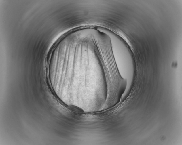 X0000089971124200707271916