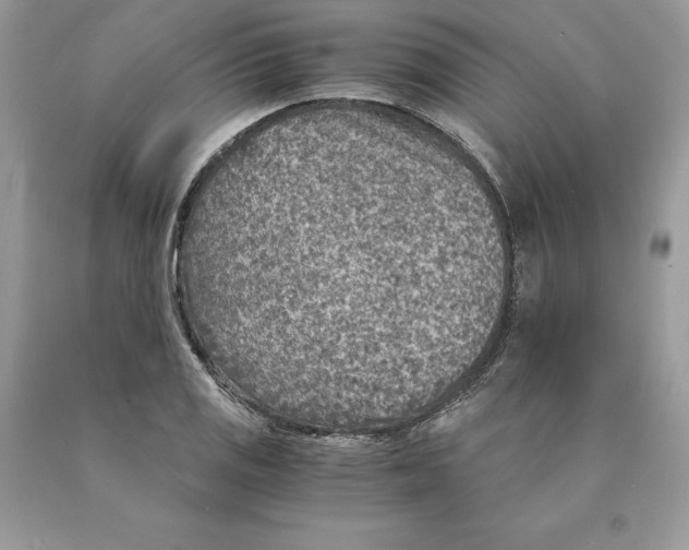 X0000089971125200707271916