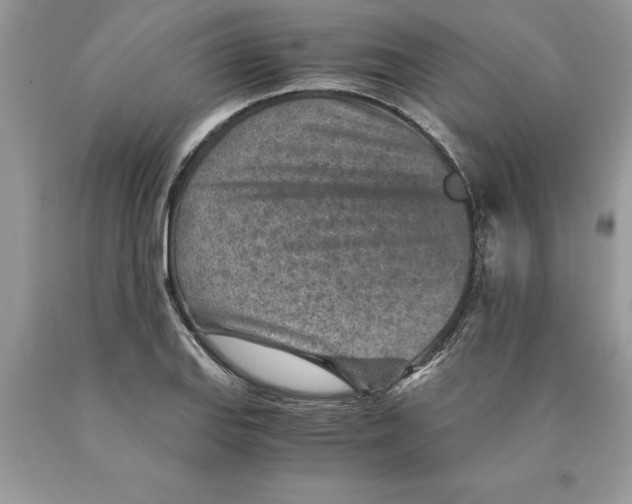 X0000089971127200707271916